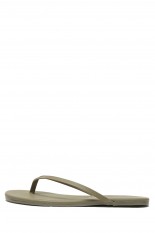 Solids -SAGE (~24.5cm)