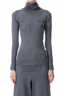Lame Turtleneck Rib PO-SILVER(23AW-7-N)