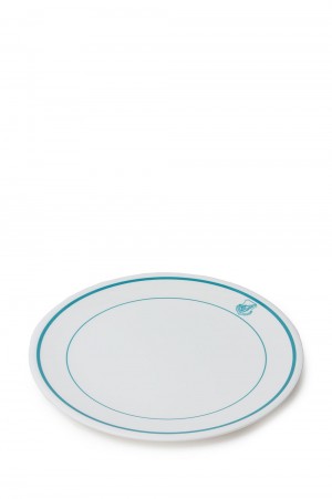 AIR FORCE PLATE - L / WHITE x BLUE (BAA-2324)