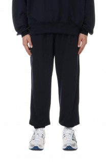 TECH SWEAT PANTS  - NAVY (BP-56024)