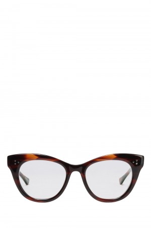 MEMPHIS / ROOTBEER SASA x CLEAR