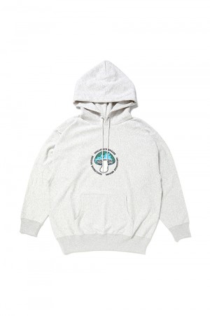 SHROOM HOODIE / GRAY (CLG-SW 024-002)