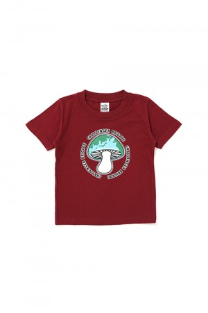 【KIDS】 KIDS SHROOM TEE / BURGUNDY (CLG-KD 024-004)