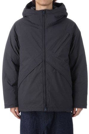 GORE-TEX Field Down Jacket - Asphalt Gray (N25FA049)