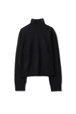 Wool Cashmere Turtle Knit - BLACK (12520537)