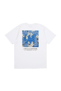DAISY TEE / WHITE (CLG-TS 026-004)