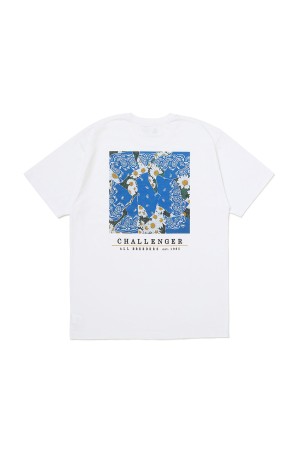 DAISY TEE / WHITE (CLG-TS 026-004)
