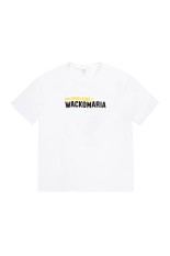 WASHED HEAVY WEIGHT CREW NECK T-SHIRT ( TYPE-5 ) / WHITE (26SS-WMT-WT06)